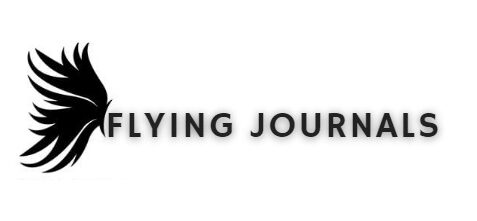 Flying Journal banner